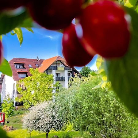 Gasthaus Hirschenstube & Gaestehaus Gehri Waldkirch Esterno foto