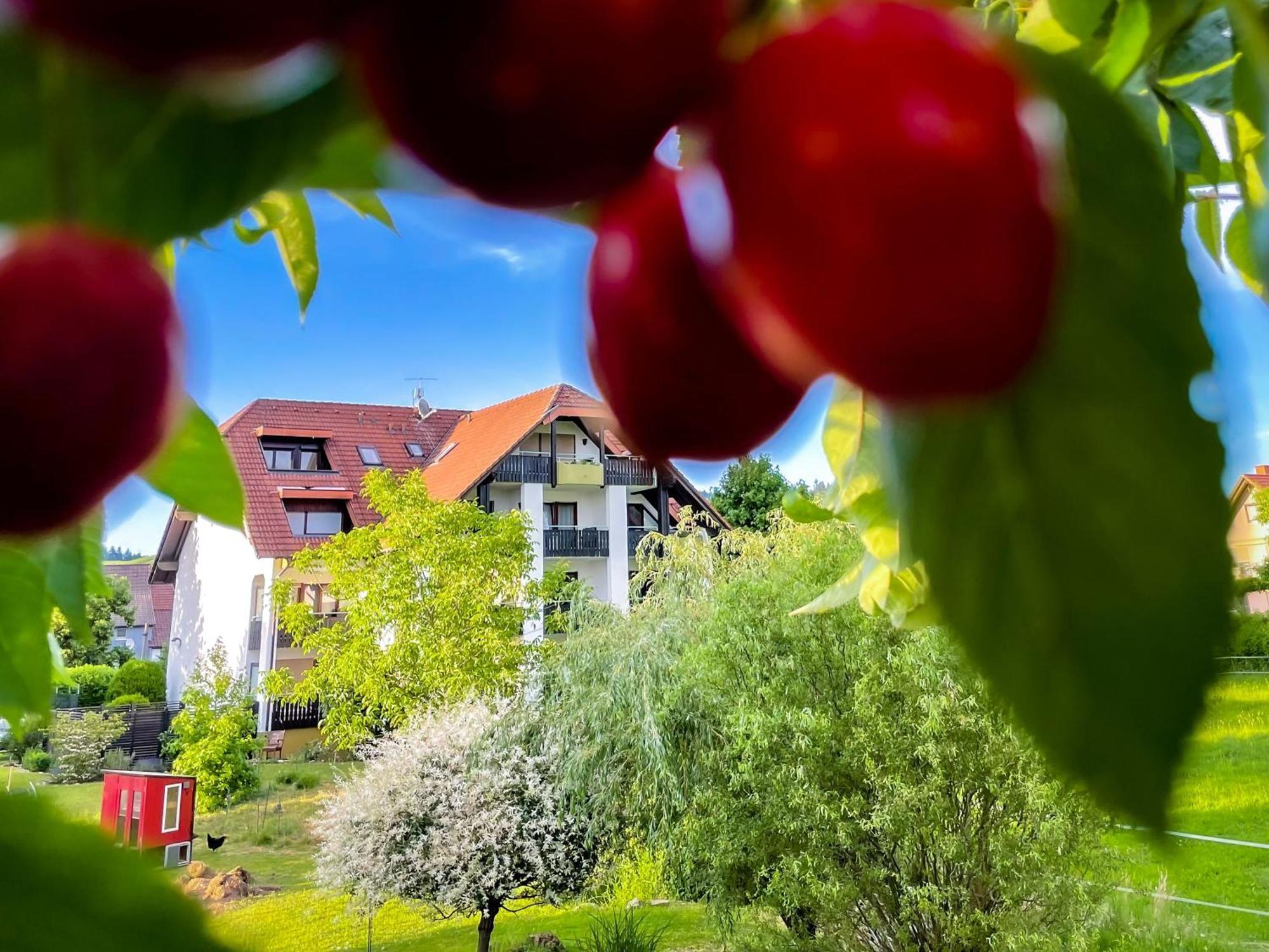 Gasthaus Hirschenstube & Gaestehaus Gehri Waldkirch Esterno foto
